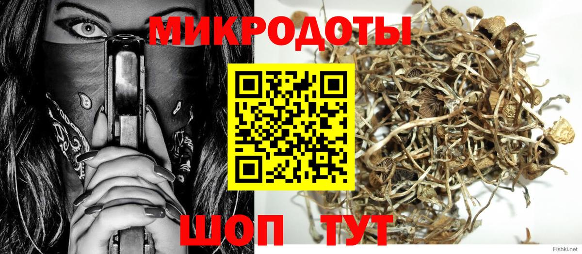 Апатиты  Галлюциногенные грибы Psilocybine cubensis  Вход с VPN 